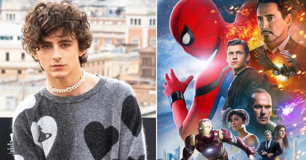Did You Know How Much Money Timothée Chalamet Missed Out On Losing Spider-Man's Role? Here's What We Know