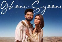 Shehnaaz Gill Receives Massive Backlash For Her ‘Ghani Syaani’ Song With MC Square