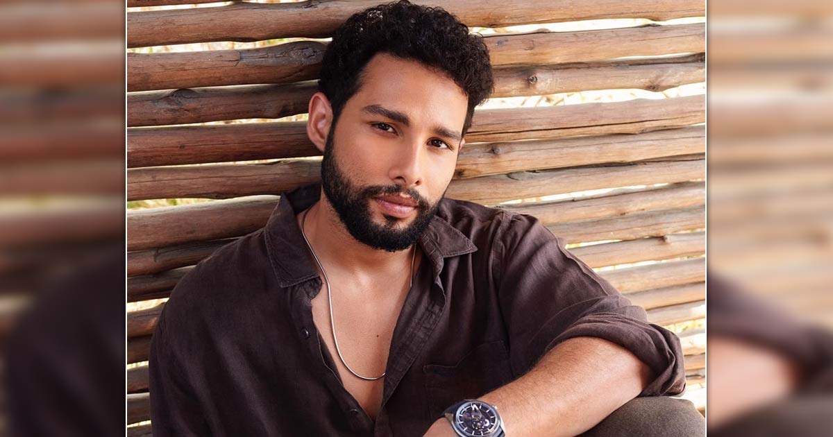 Something's cooking on the console for Siddhant Chaturvedi