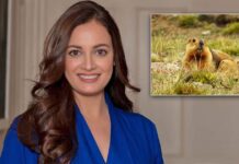 Dia Mirza shares rare sighting of Himalayan Marmot during film shoot