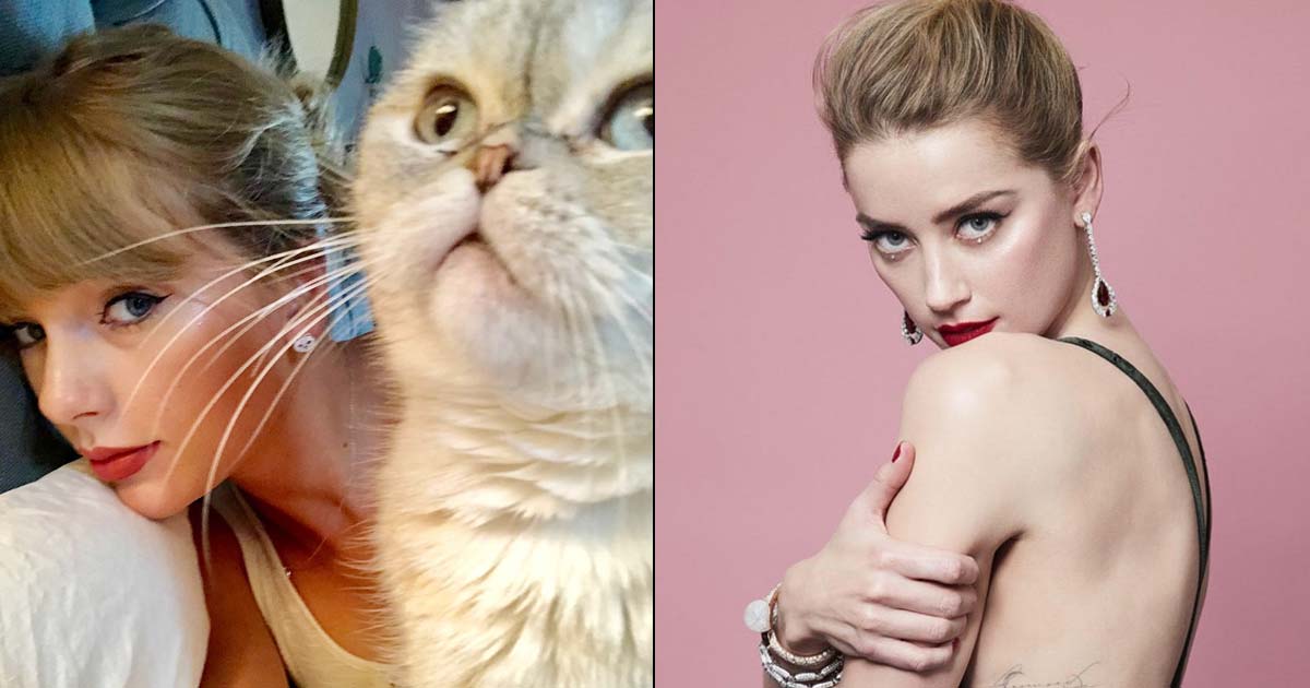 Did You Know Amber Heard's Current Net Worth Lower Than Taylor Swifts Cat Olivia Benson?