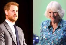 Royal Rumble: Harry says Camilla is 'dangerous', calls her a 'villain' in TV interview