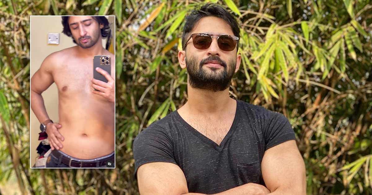 Shaheer Sheikh Goes Flab To Fab! The Actor Transforms From Having A Belly To 6-Pack Abs In Just 3 Months - Watch