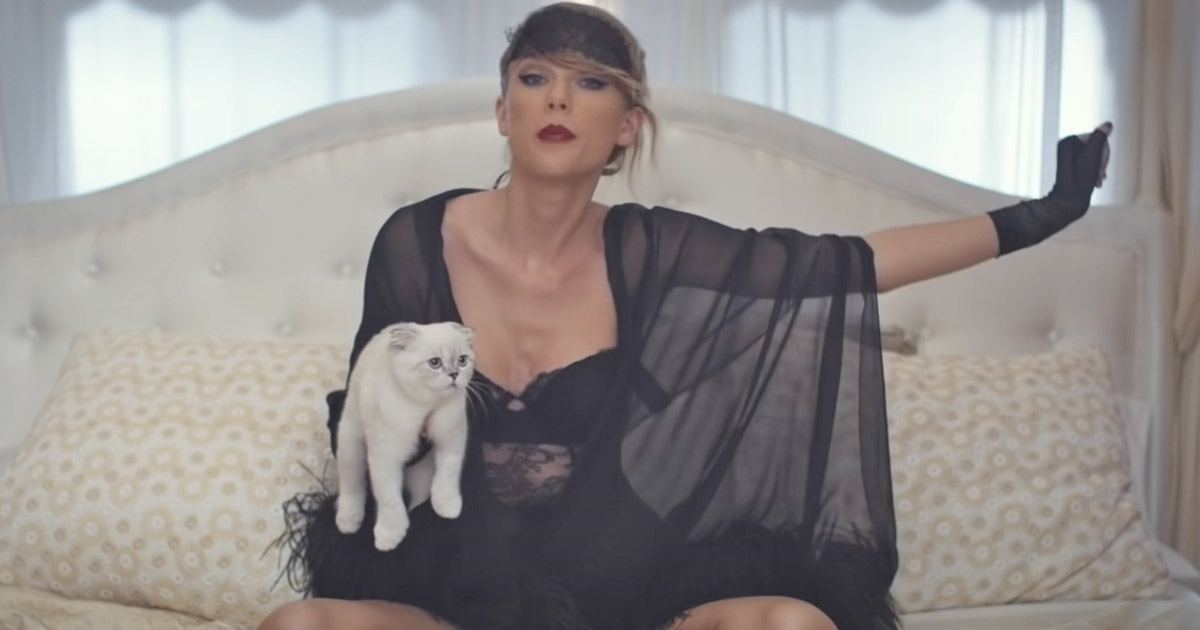 Taylor Swift’s Cat Is Value 802 Crore ( Million) Being The third Wealthiest Pet In The World, High 2’s Value Will Burn Your Human Mind!