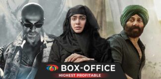 Bollywood’s Most Profitable Films Of 2023