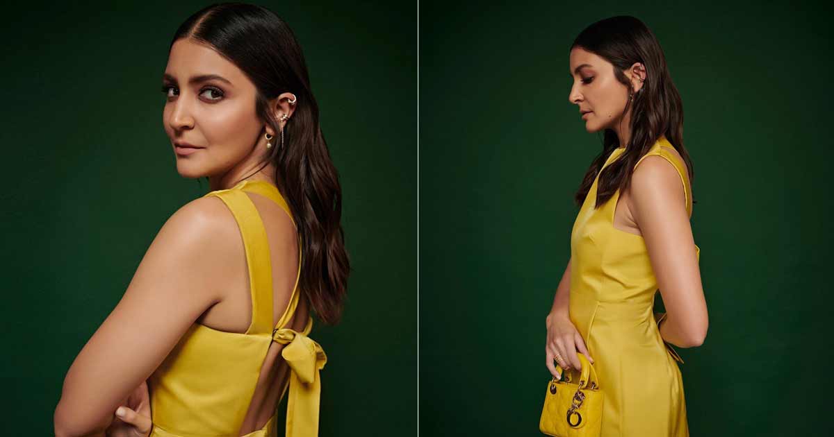 Anushka Sharma's Dior Small Bag's Whopping Worth Will Shock You, It Will Cover Your Lavish Trip To Paris