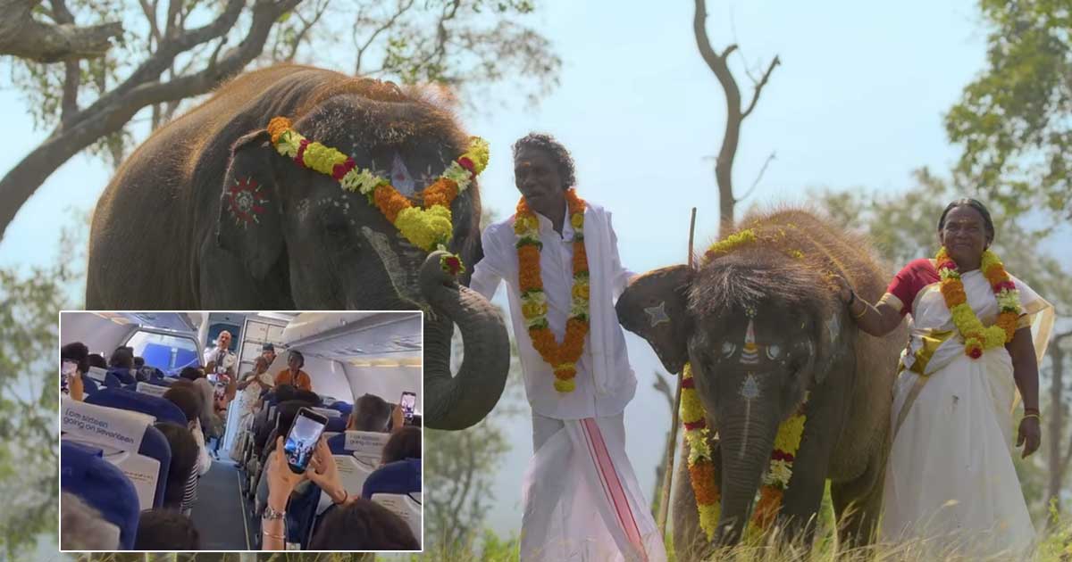 The Elephant Whisperers Fame Couple Bomman & Bellie Obtain Heartwarming Welcome By Indigo Pilot As They Board Their Flight Publish Oscar Win