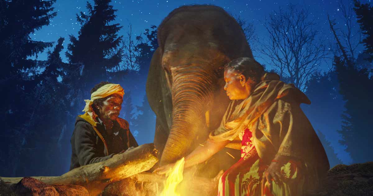 It is A Proud Second As India’s The Elephant Whisperers Brings House The Trophy In ‘Greatest Documentary Quick Movie’ Class