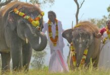Oscar-winning 'The Elephant Whisperers' shot at Theppakadu camp, oldest in Asia