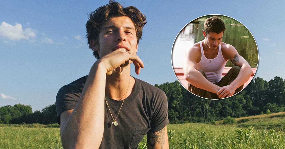 Shawn Mendes Flaunts Sunburn Pics From His Fun-Filled Mexico Vacation, Fans Can't Stop Reacting