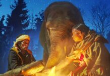 When 'The Elephant Whisperers' director met Raghu, he had no control over his trunk