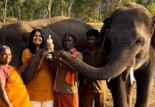 Bomman, Bellie, Bommi & Raghu of 'The Elephant Whisperers' pose with the Oscar