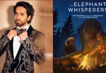 Pointing to 'The Elephant Whisperers', Ayushmann says local stories going global