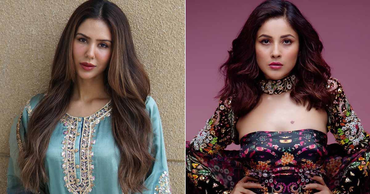 After Shehnaaz Gill, Sonam Bajwa Now Calls Out Punjabi Industry Over Sidelining Her!
