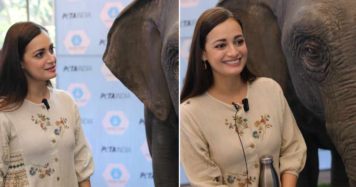 Dia Mirza is Ellie, Asia's first empathy-building elephant