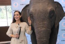 Launch: Dia Mirza Is the Voice of Ellie, A Life-Size Animatronic Elephant Visiting India’s Schools