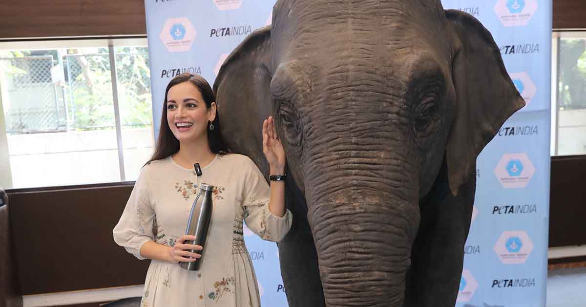 Dia Mirza Is the Voice of Ellie, A Life-Measurement Animatronic Elephant Visiting India’s Colleges