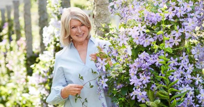 Martha Stewart, At The Age Of 81, Dons A S*xy Bikini, Becoming The ...