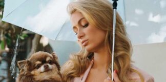 'Rest peacefully, my sweet darling': Paris Hilton mourns death of 'loyal friend'