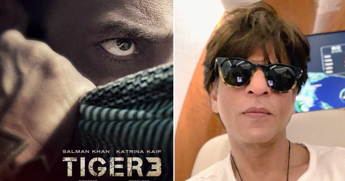 Salman Khan & Shah Rukh Khan To Start Shooting For 'Tiger 3' In May