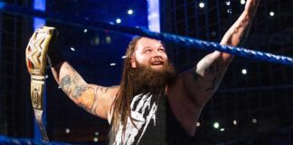 More Details About WWE Superstar Bray Wyatt's Death