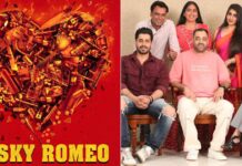 Sunny Singh, Kriti Kharbanda to star in Abir Sengupta's 'Risky Romeo'