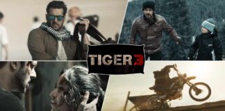 Framed as Enemy No 1, Salman Khan aka Tiger hunts with vengeance to clear his name in Tiger 3!
