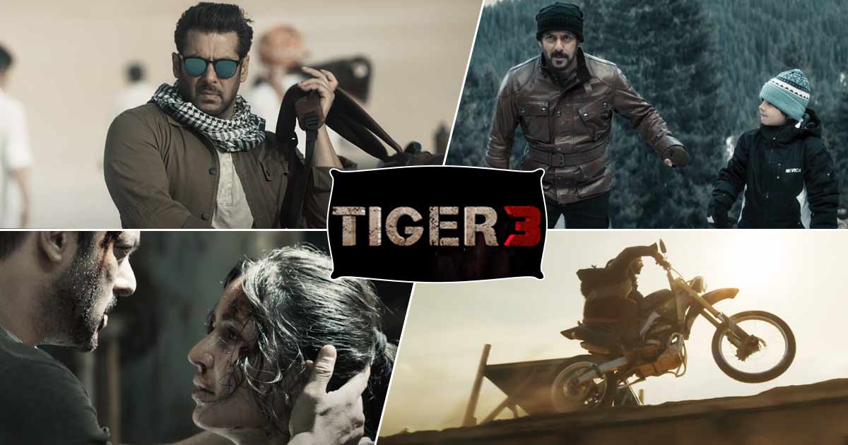 Tiger 3: Salman Khan aka Avinash Singh Rathore Is Asking For A Character Certificate In A Highly Intriguing 'Tiger Ka Message'