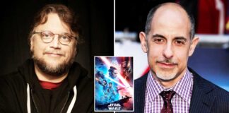 Guillermo del Toro and David S Goyer had plans for a 'really cool' Star Wars film