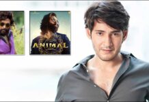 Allu Arjun's Pusha, Ranbir Kapoor Starrer Animal & More, DYK Mahesh Babu Rejected These Five Mega-Budget Movies?
