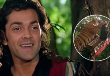 Bobby Deol Recalls Facing A Real-Life Wild Animal In The Siberian Tiger While Shooting For Barsaat In Italy