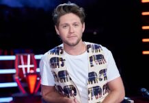 How Much Is Niall Horan Earning From The Voice?