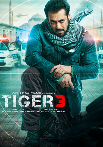 Tiger 3 Box Office Collection: Salman Khan's Film Is The Highest ...