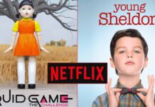 Top 10 Most Watched Web Series On Netflix