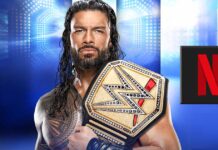 Details About WWE & Netflix Deal