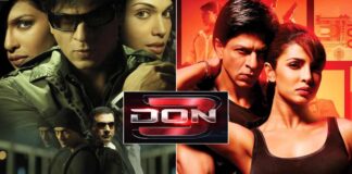 What Is The Budget Of Don 3?
