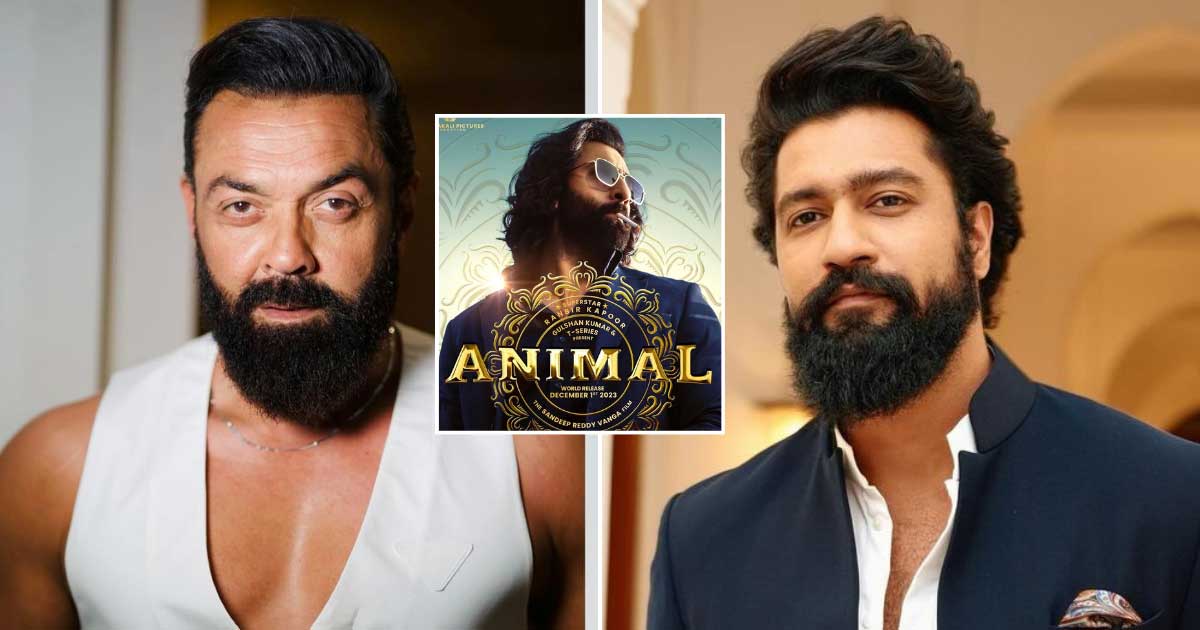 Animal Park: Vicky Kaushal In, Bobby Deol Out To Lock Horns With Ranbir Kapoor, What Does The Title Mean - 3 Major Things You Need To Know