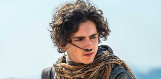 Timothee Chalamet Movies Ranked As Per Rotten Tomatoes