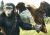 Box Office - Kingdom of the Planet of the Apes has nice jump on Saturday