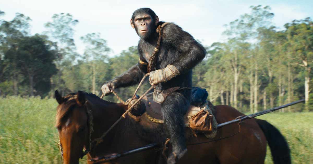 Kingdom Of The Of The Apes Box Office (Domestic) Earns 6.6