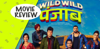 hindi movie review rating