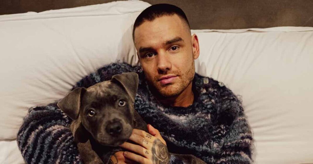 Liam Payne's Net Worth 2024 Revealed Amid Shocking News of One